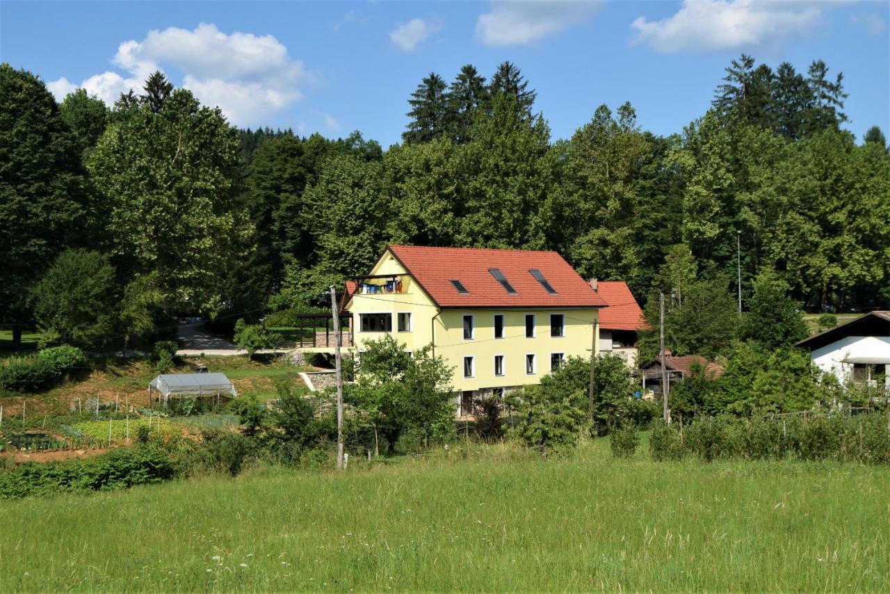 Apartmaji Maln Dolenjske Toplice Exteriör bild